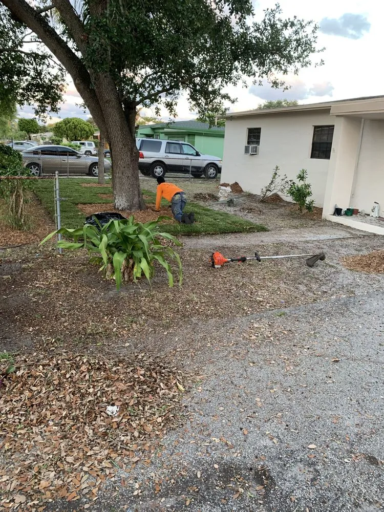 Affordable yard maintenance experts serving Lauderdale Lakes, FL - CCC lawn care & Trash Pick-up