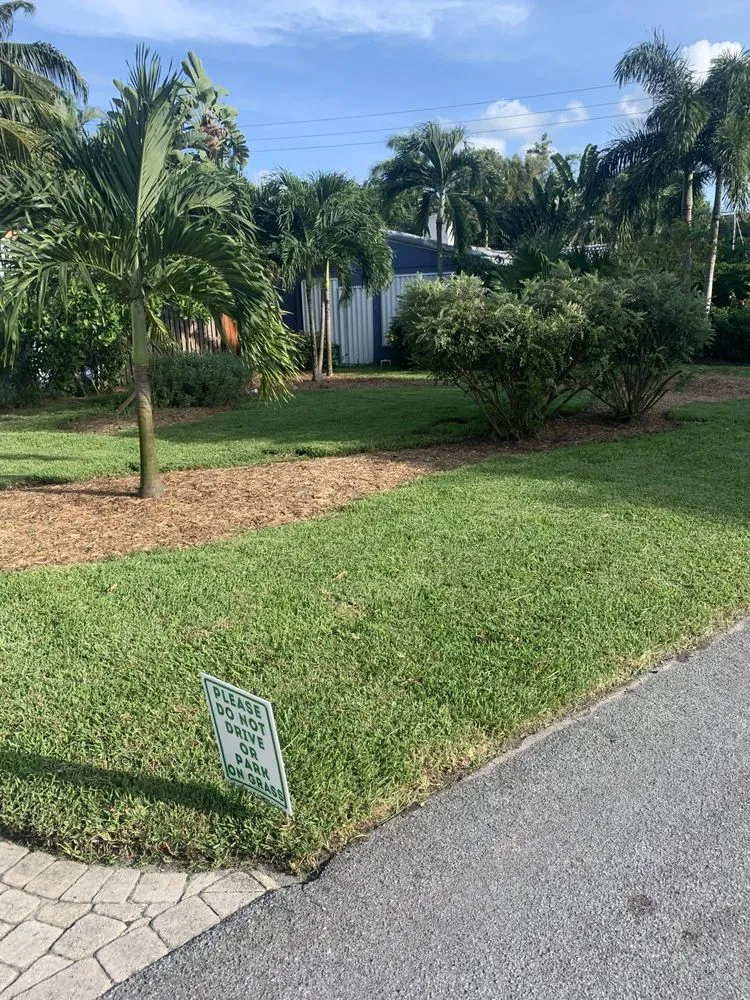 Affordable landscape design for residential properties in Lauderdale Lakes, FL by CCC lawn care & Trash Pick-up