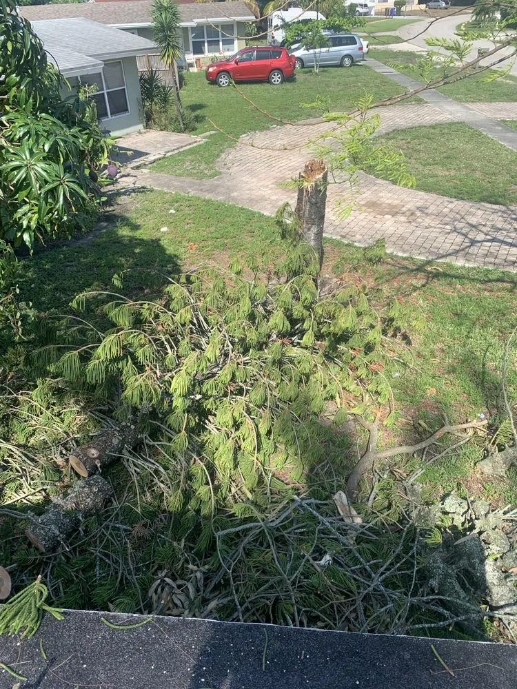 Affordable landscape installation for outdoor upgrades across Lauderdale Lakes, FL - CCC lawn care & Trash Pick-up