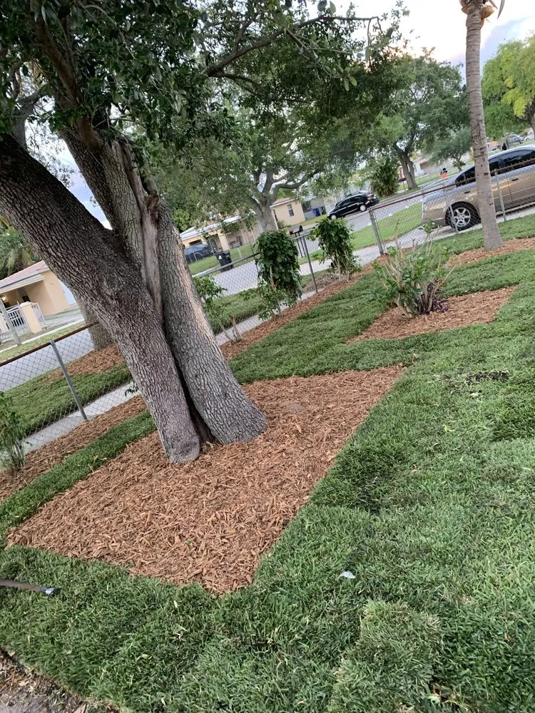 Custom landscaping services for outdoor upgrades across Lauderdale Lakes, FL - CCC lawn care & Trash Pick-up
