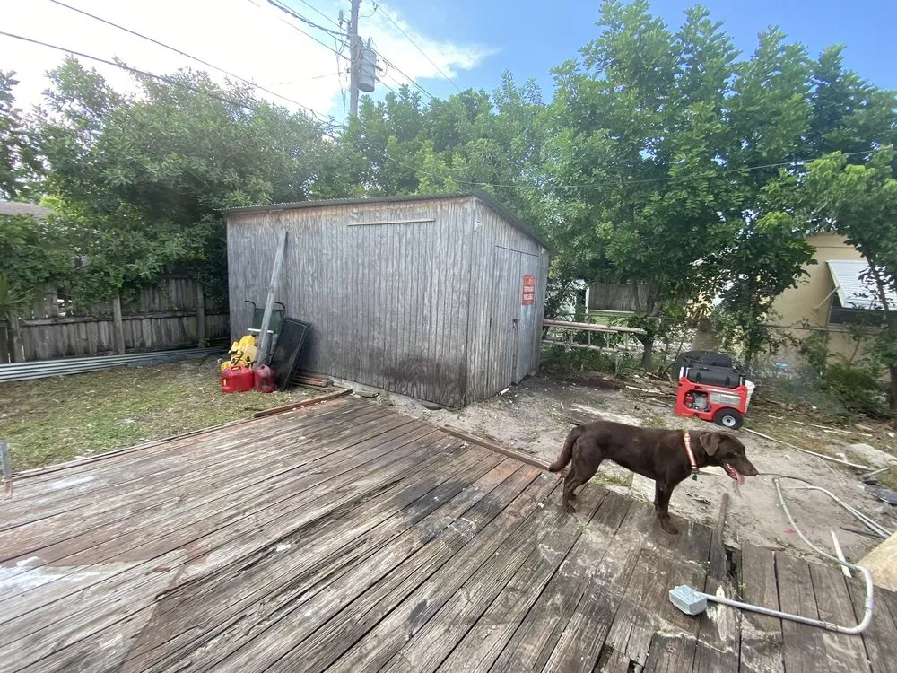 Top-rated yard maintenance in Lauderdale Lakes, FL - CCC lawn care & Trash Pick-up