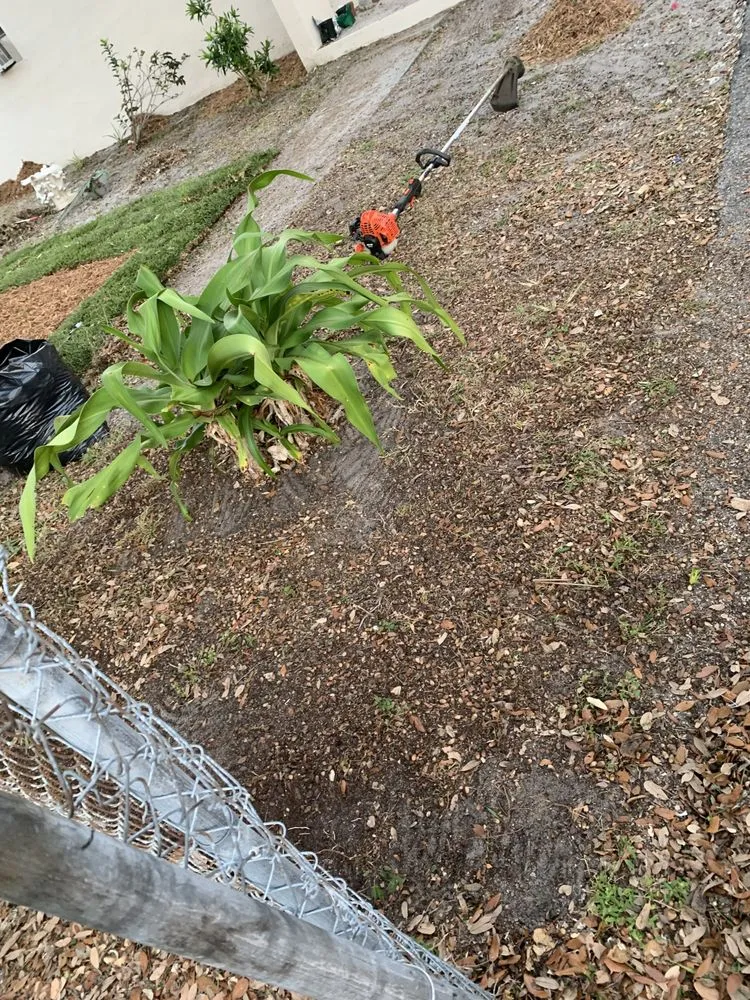 Professional lawn care service for homes in Lauderdale Lakes, FL by CCC lawn care & Trash Pick-up