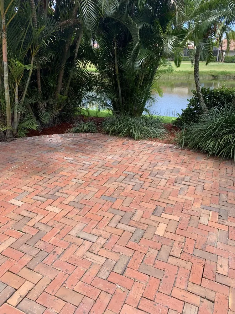 Affordable landscaping services for beautiful yards in Lauderdale Lakes, FL by CCC lawn care & Trash Pick-up