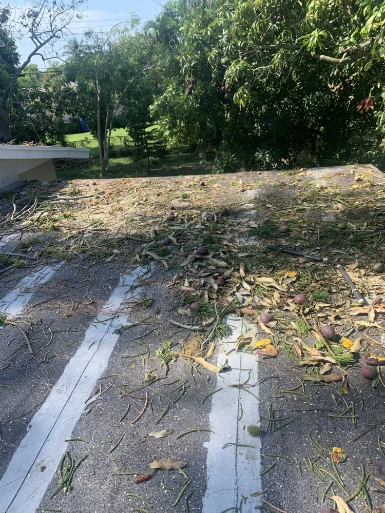 Custom garden landscaping in Lauderdale Lakes, FL by CCC lawn care & Trash Pick-up