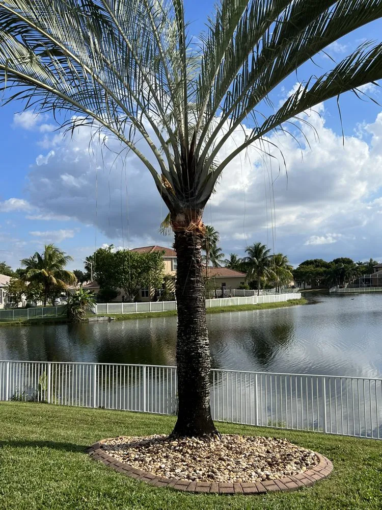 Trusted residential landscaping experts serving Lauderdale Lakes, FL - CCC lawn care & Trash Pick-up