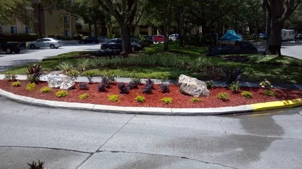 Professional landscape design for beautiful yards across Land O Lakes, FL - CC&D Landscape and Irrigation Services