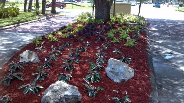 Expert lawn care service experts serving Land O Lakes, FL - CC&D Landscape and Irrigation Services