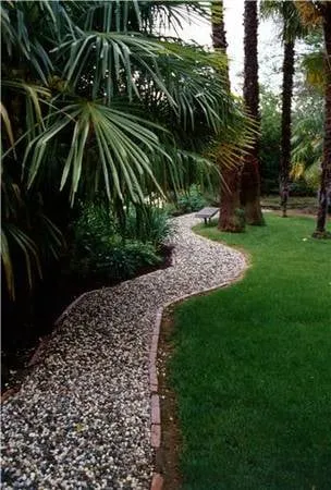 Professional yard cleanup service for year-round maintenance in Land O Lakes, FL by CC&D Landscape and Irrigation Services