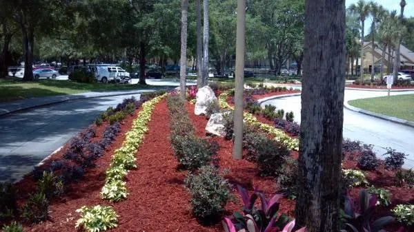 Local lawn mowing service experts serving Land O Lakes, FL - CC&D Landscape and Irrigation Services