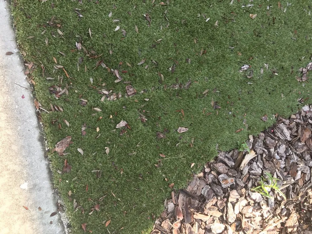 Local landscape installation in Land O Lakes, FL by CC&D Landscape and Irrigation Services