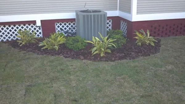 Affordable residential landscaping with custom design in Land O Lakes, FL by CC&D Landscape and Irrigation Services