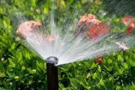 Reliable lawn mowing service experts serving Land O Lakes, FL - CC&D Landscape and Irrigation Services