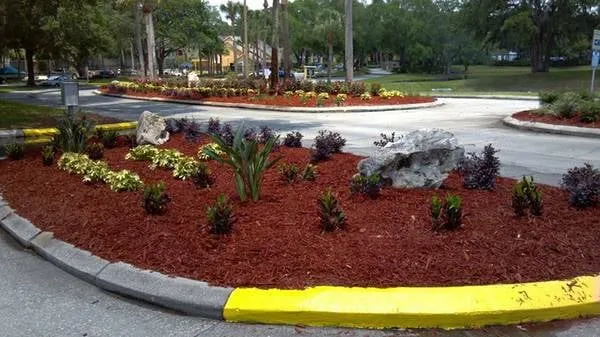 Top-rated yard maintenance with custom design in Land O Lakes, FL by CC&D Landscape and Irrigation Services