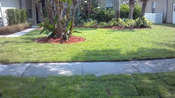 Custom lawn care service in Land O Lakes, FL by CC&D Landscape and Irrigation Services