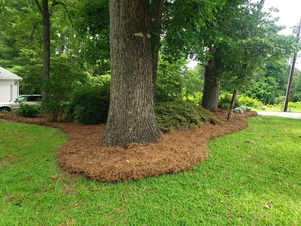 Reliable landscape design near you across Raleigh, NC - CCD Landscaping and Lawncare