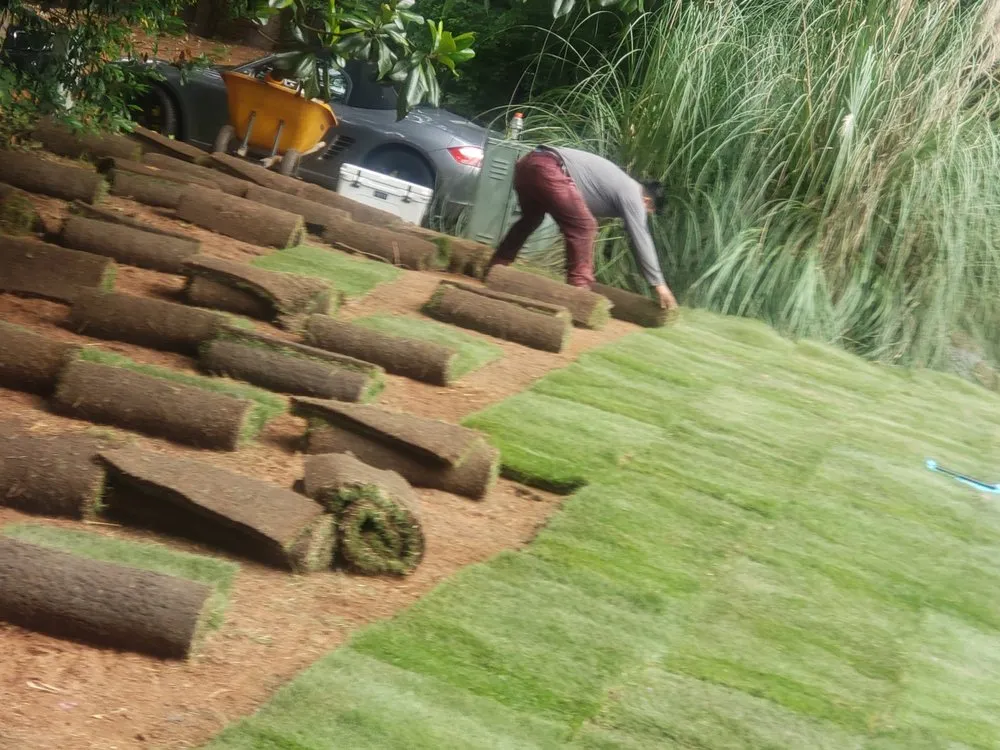 Top-rated outdoor landscaping experts serving Raleigh, NC - CCD Landscaping and Lawncare