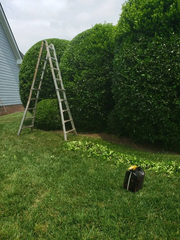 Professional yard maintenance in Raleigh, NC by CCD Landscaping and Lawncare