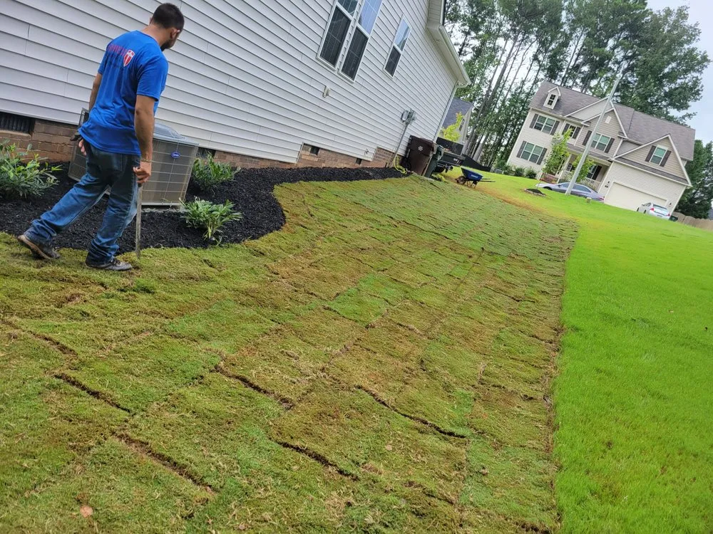 Expert residential landscaping in Raleigh, NC by CCD Landscaping and Lawncare