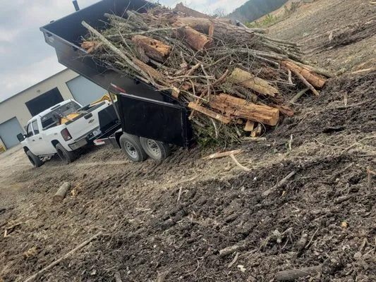 CCD Landscaping and Lawncare Logo