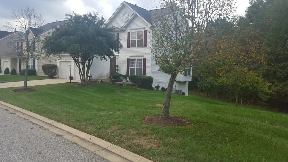 Expert yard maintenance for beautiful yards in Waldorf, MD by CC&D Landscaping Services