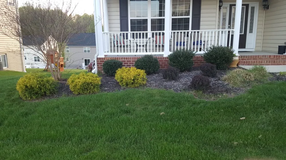 Affordable yard cleanup service in Waldorf, MD by CC&D Landscaping Services