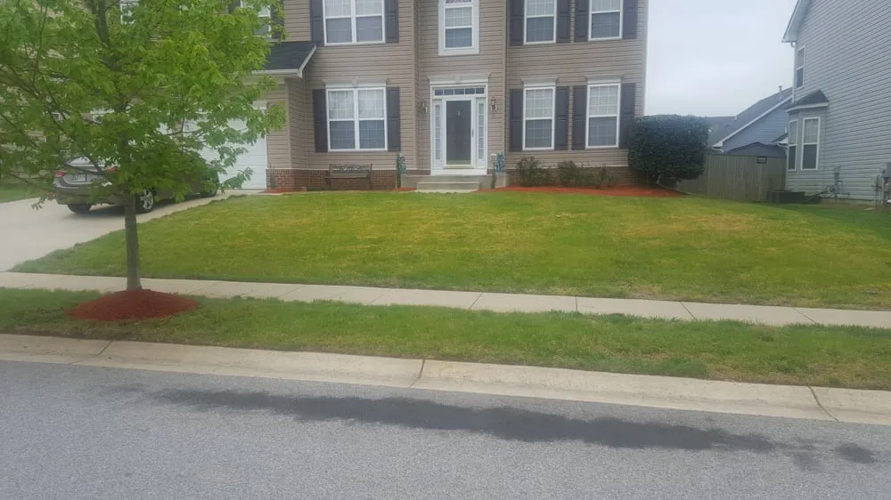 Trusted yard cleanup service in Waldorf, MD by CC&D Landscaping Services