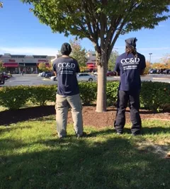 Local residential landscaping in Waldorf, MD - CC&D Landscaping Services