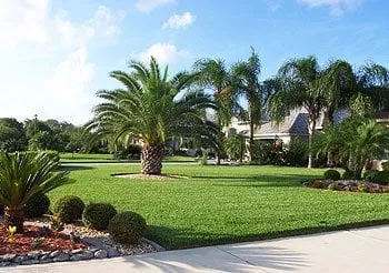 Custom residential landscaping with custom design in North Miami, FL by CCD