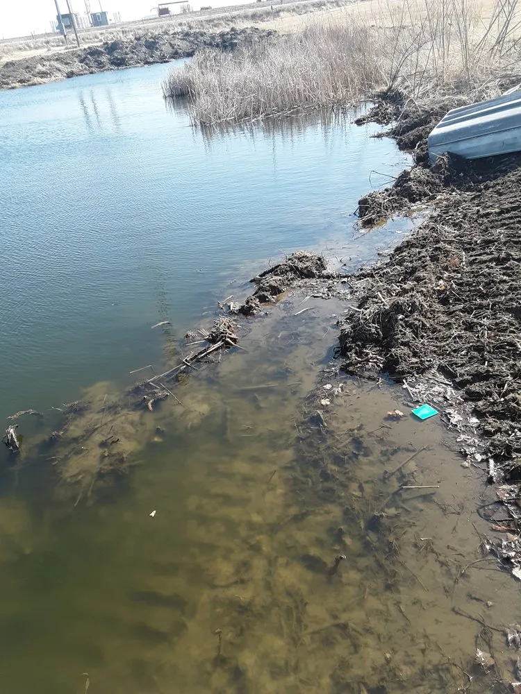 Local yard maintenance in Boone, IA by CCD Yard Services