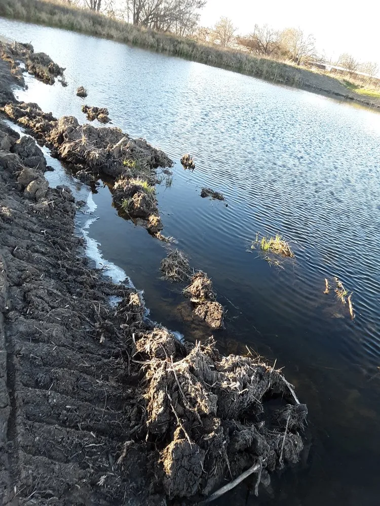 Trusted outdoor landscaping experts serving Boone, IA - CCD Yard Services