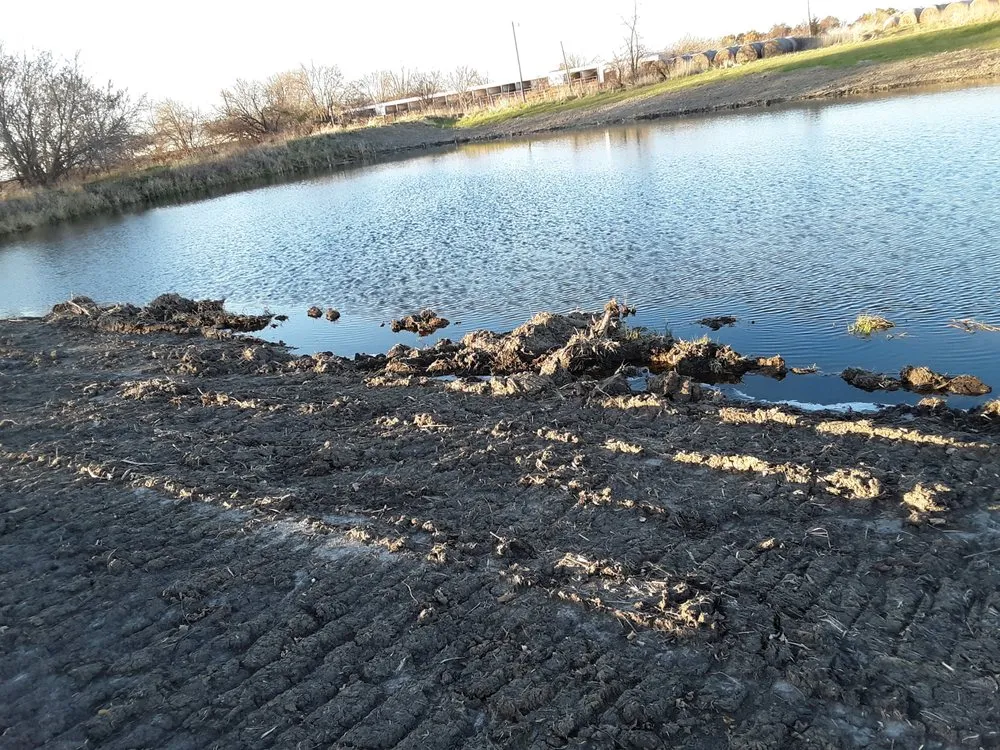 Expert landscaping services in Boone, IA by CCD Yard Services