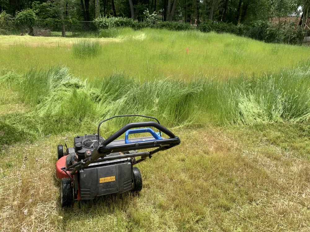 Top-rated landscape design for residential properties in Westampton, NJ by CCE Lawn Care