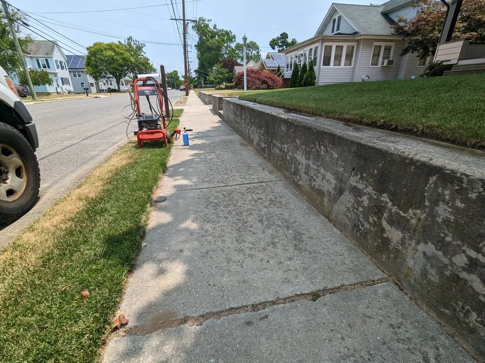Professional yard cleanup service in Logan Township, NJ - C.C.F