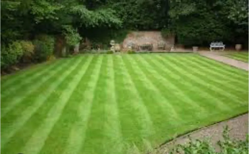 Trusted yard maintenance for year-round maintenance in Oklahoma City, OK by Ccg Landscaping