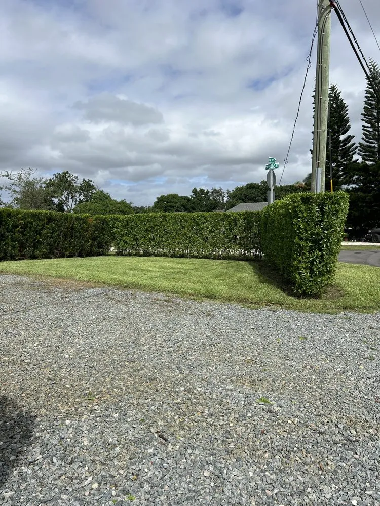 Local landscape design experts serving Homestead, FL - CCH Landscaping