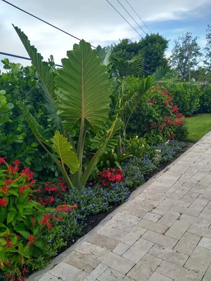 Expert garden landscaping in Homestead, FL - CCH Landscaping