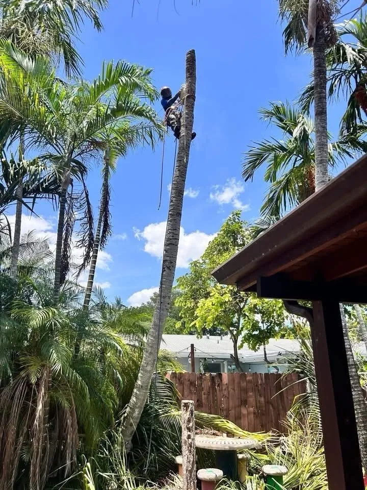 Custom lawn care service in Homestead, FL - CCH Landscaping