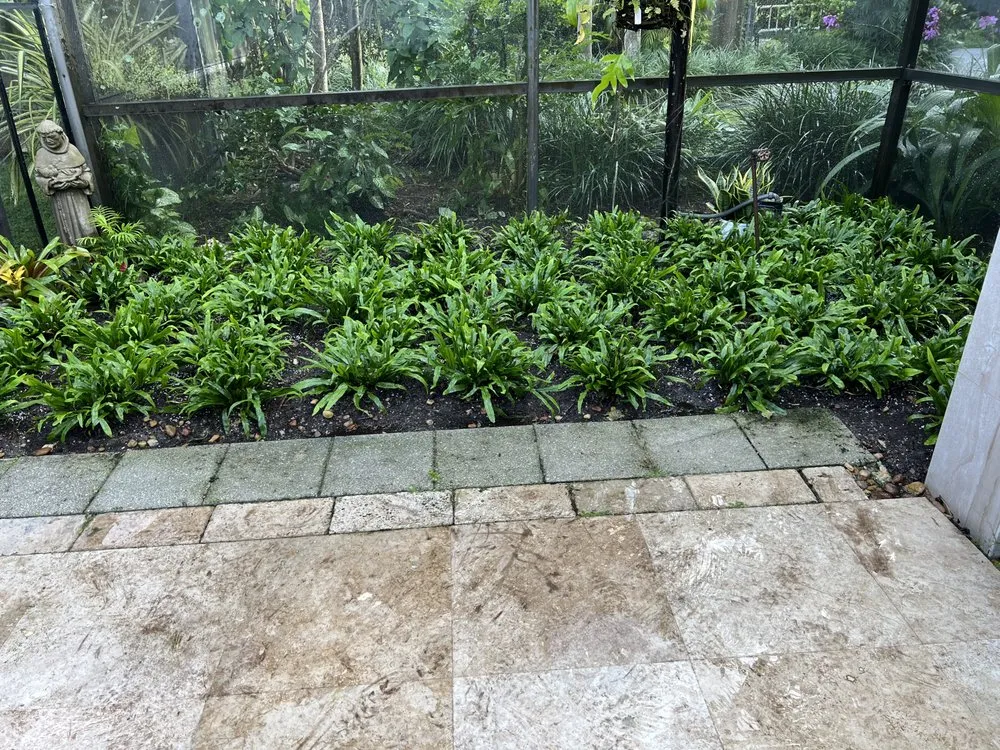 Custom lawn mowing service for outdoor upgrades across Homestead, FL - CCH Landscaping