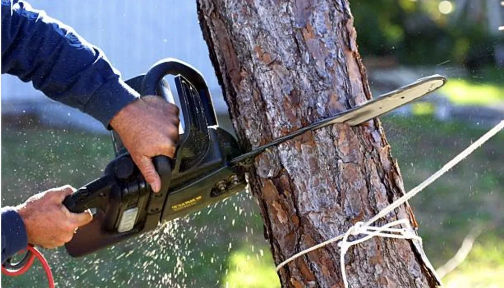 Expert garden landscaping experts serving Miami, FL - CCH Lawn Care