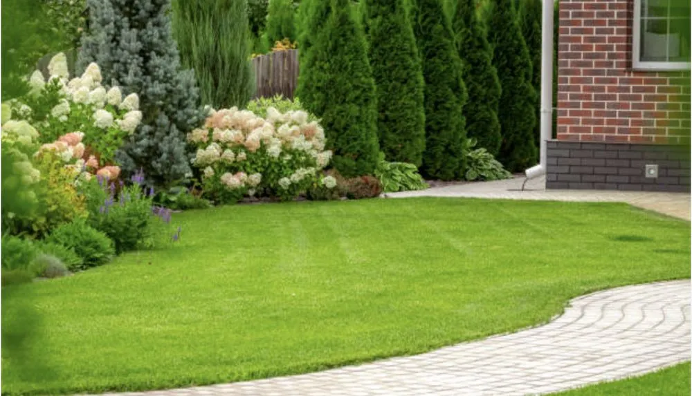 Professional landscaping services in Miami, FL - CCH Lawn Care