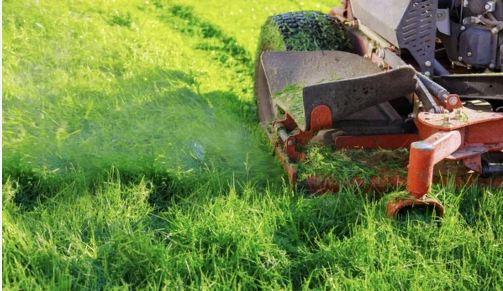 Trusted lawn mowing service with custom design across Miami, FL - CCH Lawn Care