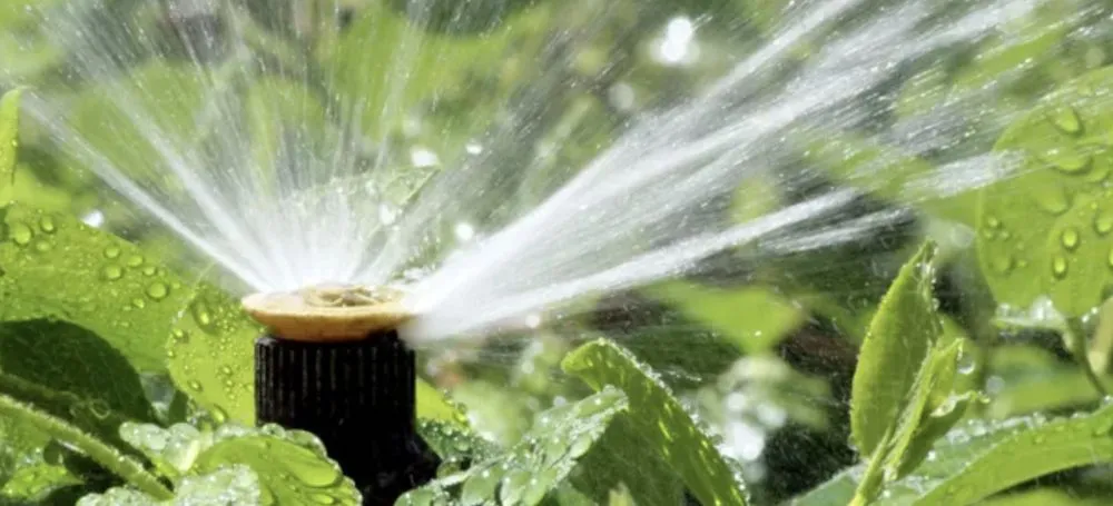 Custom residential landscaping with custom design in Miami, FL by CCH Lawn Care