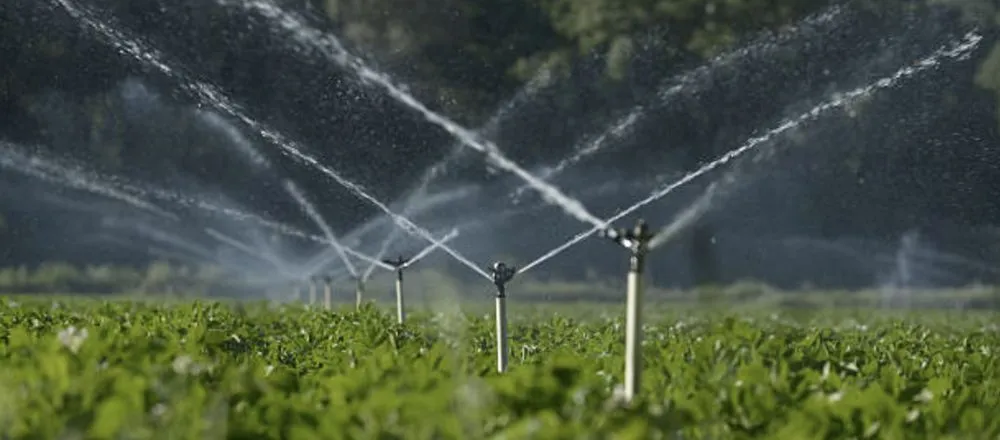 Professional landscape installation for homes across Miami, FL - CCH Lawn Care