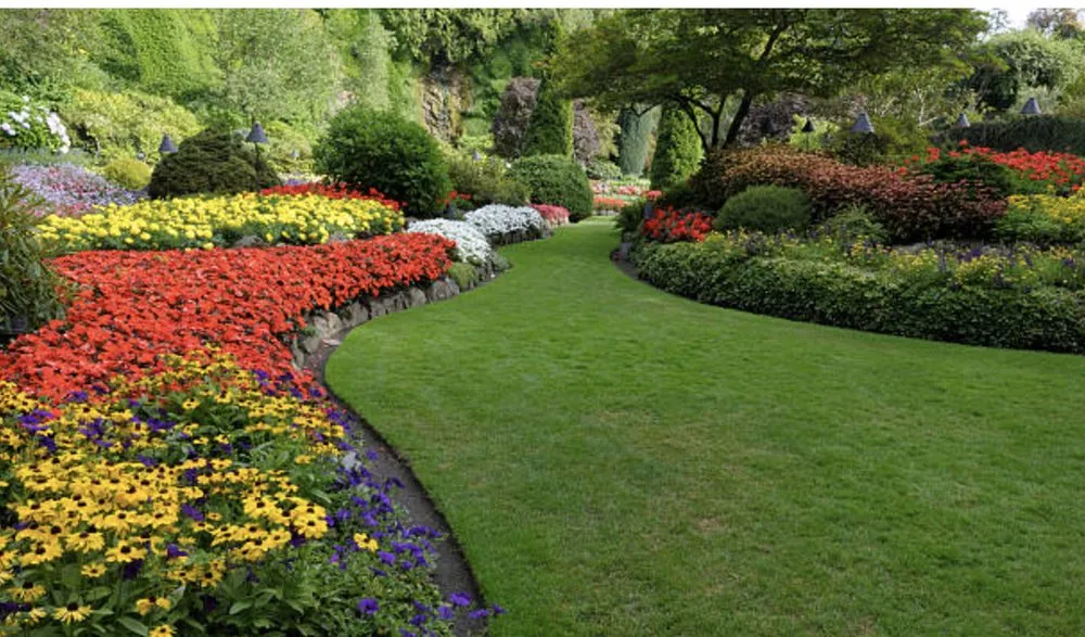 Professional landscaping services in Miami, FL - CCH Lawn Care