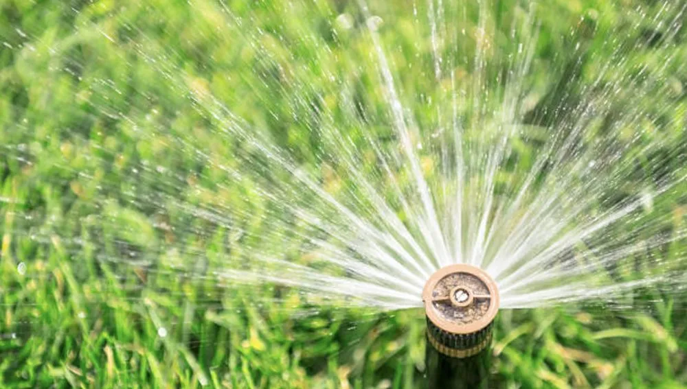 Professional residential landscaping experts serving Miami, FL - CCH Lawn Care