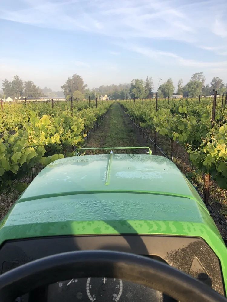 Reliable outdoor landscaping for year-round maintenance across Cotati, CA - CCK Landscaping