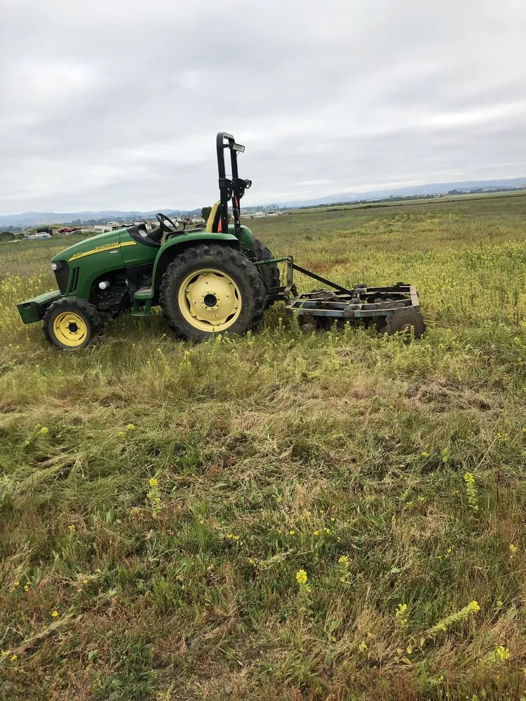 Top-rated landscape design in Cotati, CA - CCK Landscaping