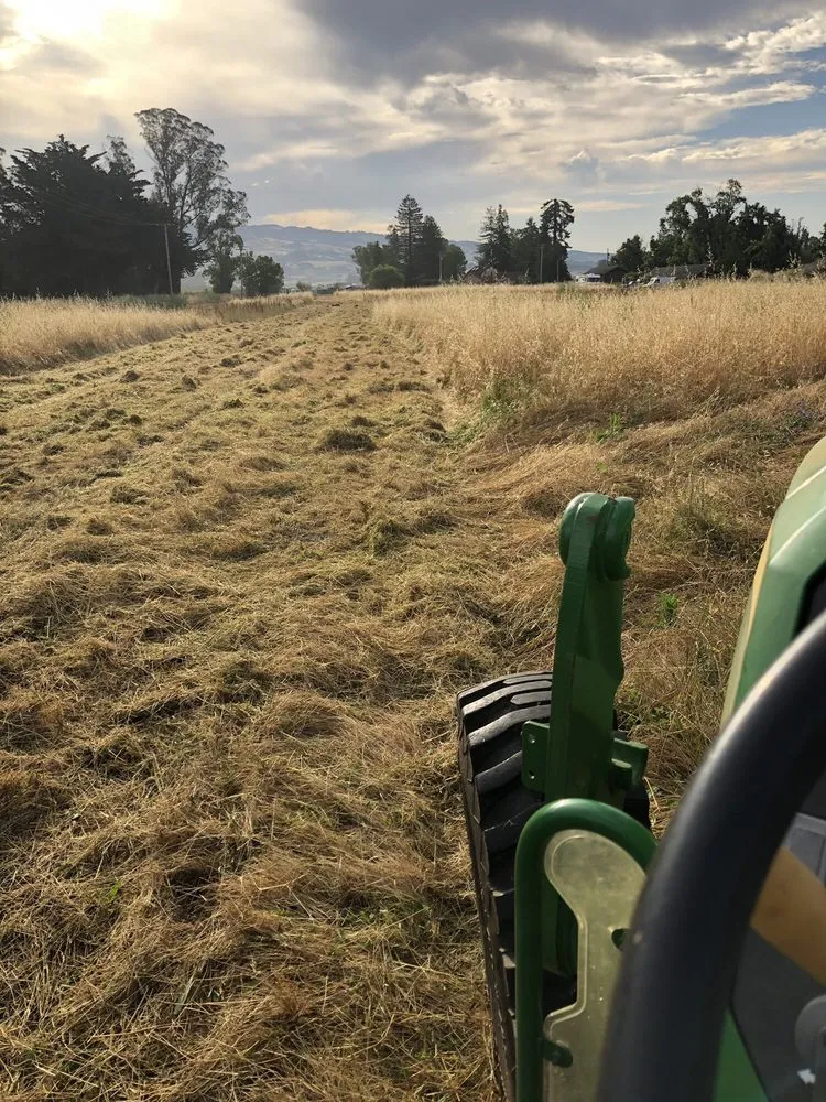 Local landscape installation for residential properties in Cotati, CA by CCK Landscaping