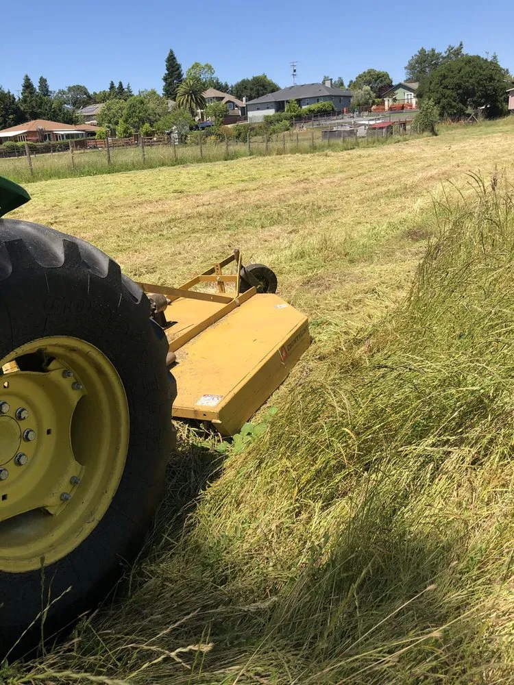 Affordable landscape design in Cotati, CA by CCK Landscaping
