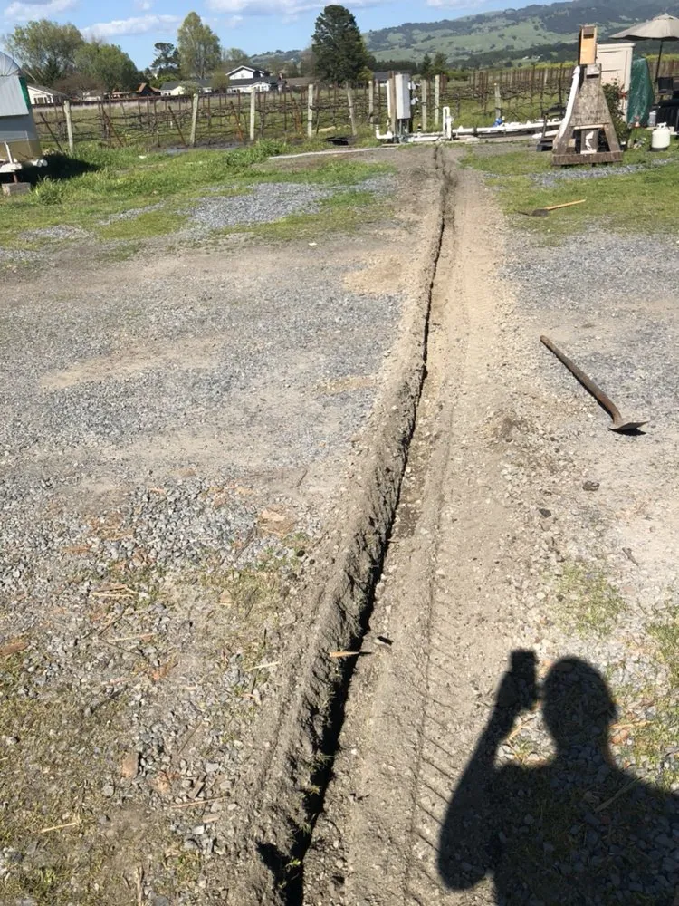 Top-rated lawn mowing service experts serving Cotati, CA - CCK Landscaping